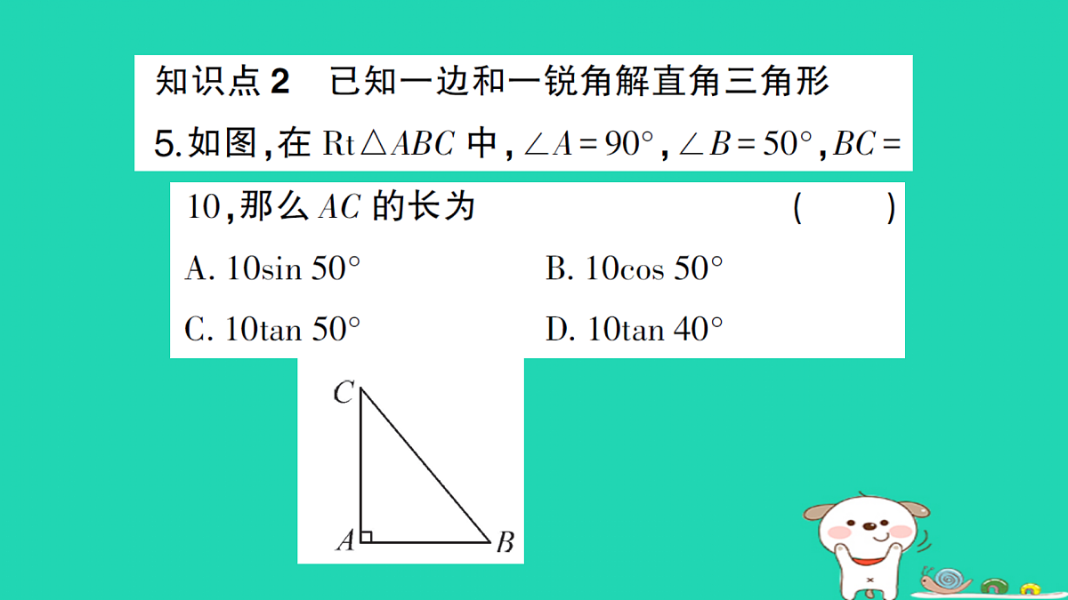 18167738第6页
