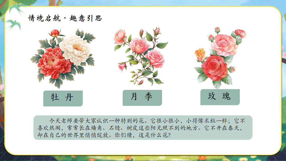 苔第4页