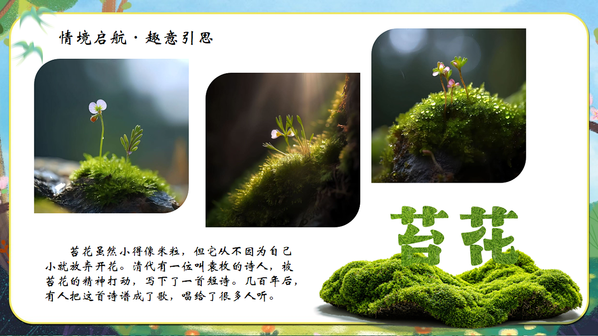 苔第5页
