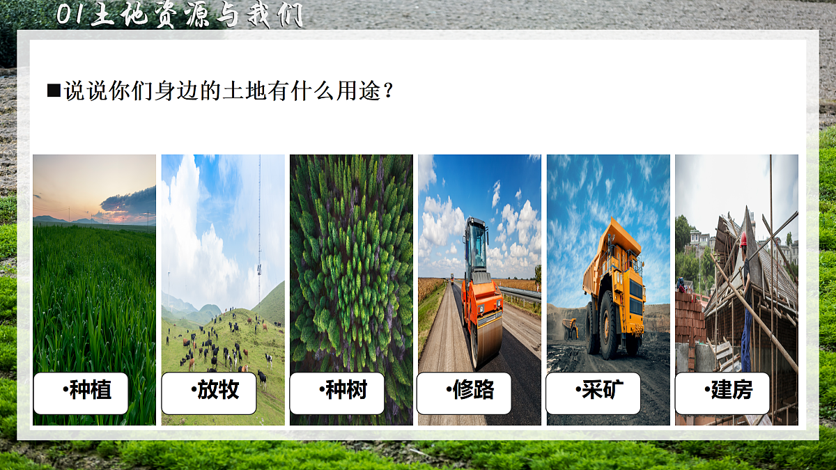 18170291第2页