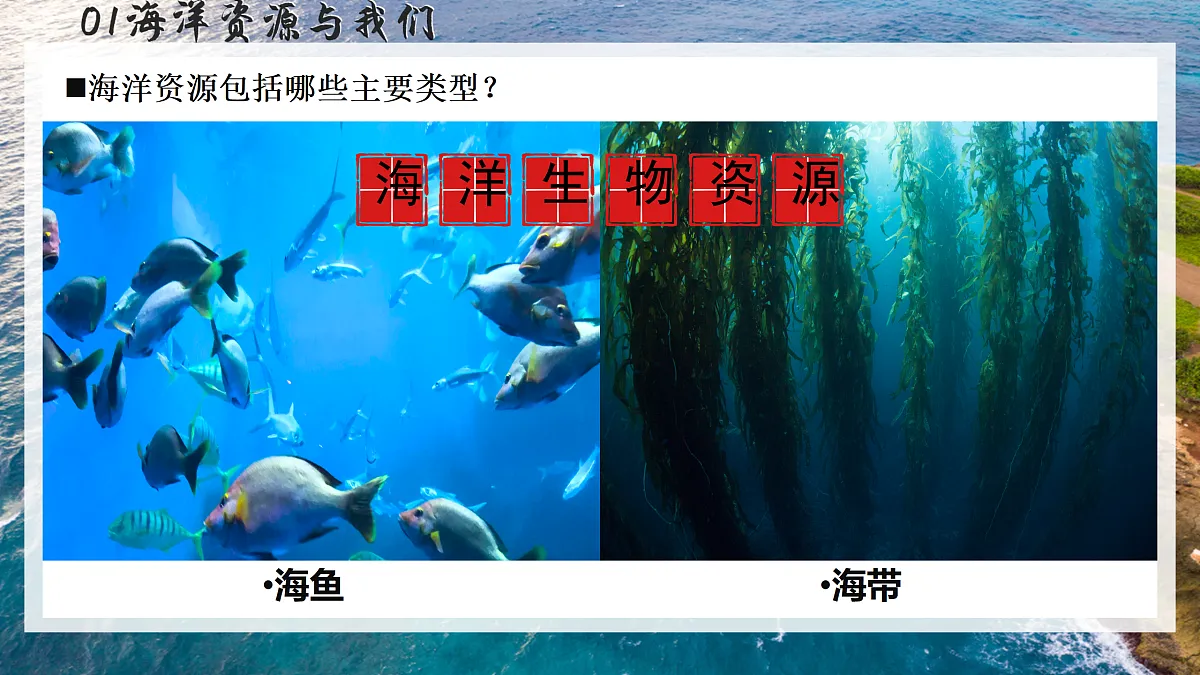18170296第2页