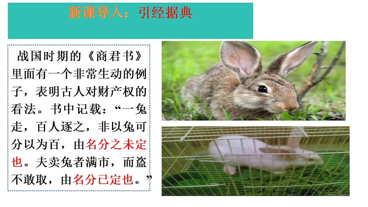 18170641第5页