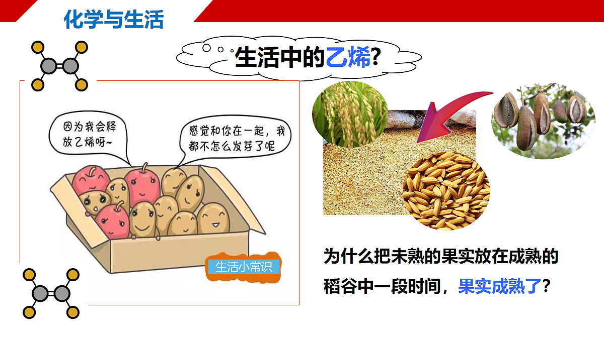 18170892第2页