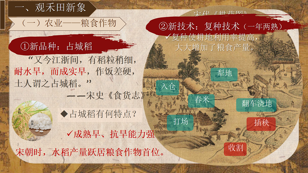 18171461第4页