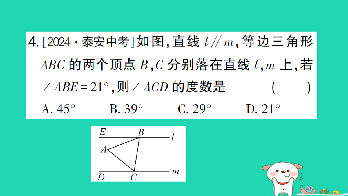 18173637第5页