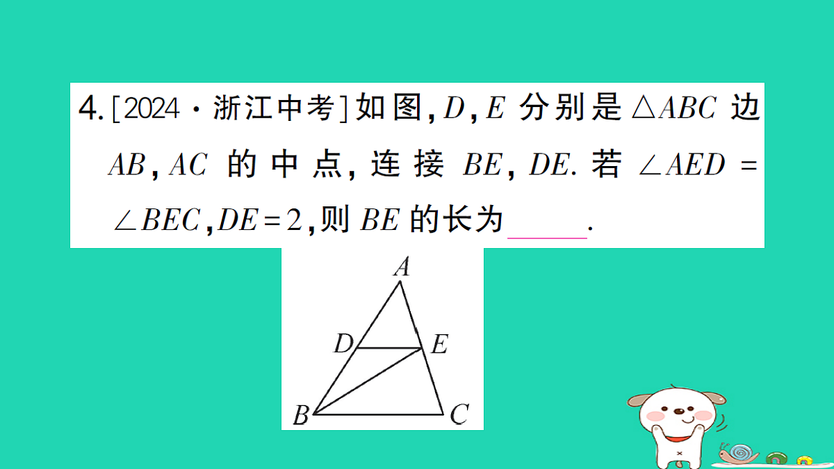18173638第5页