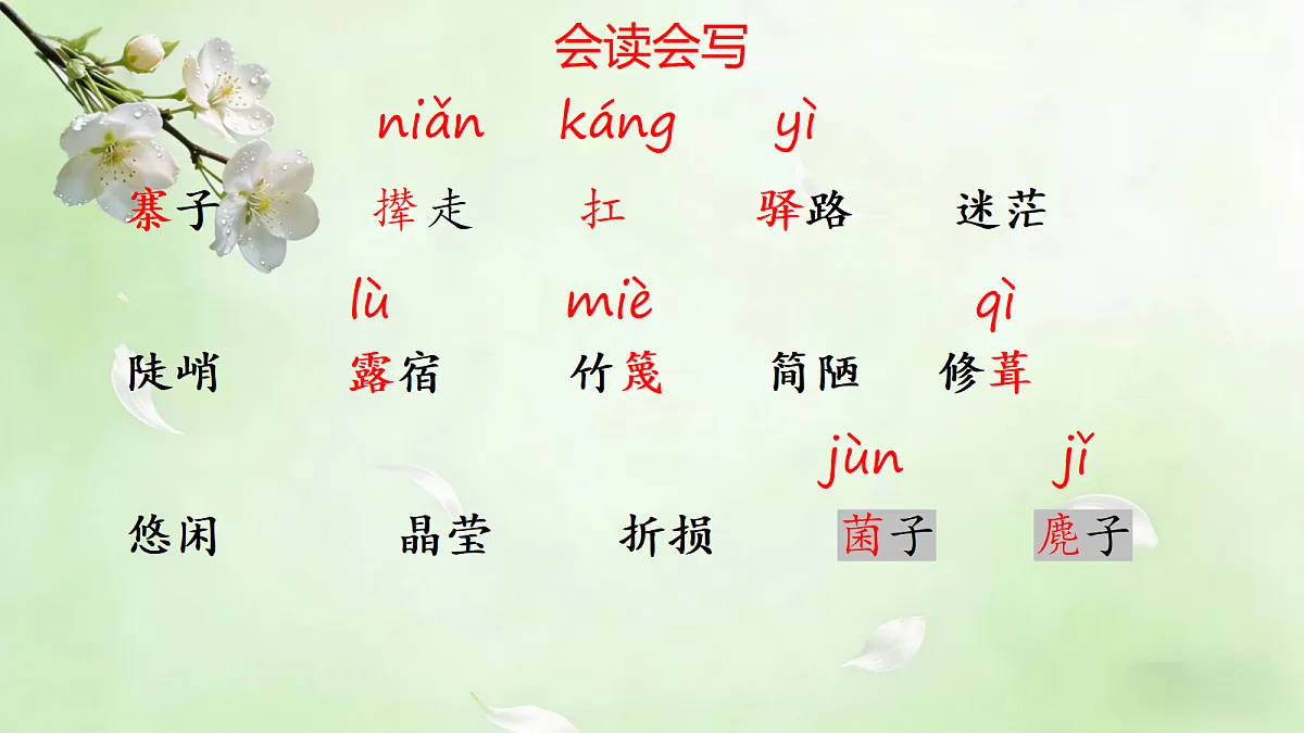18173708第3页