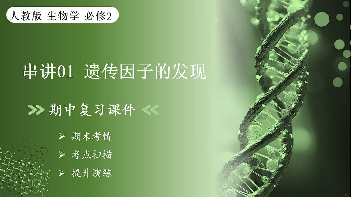 18176007第1页