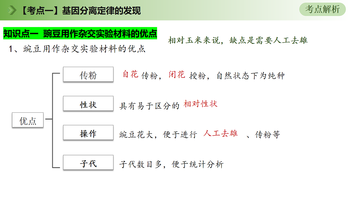 18176007第8页