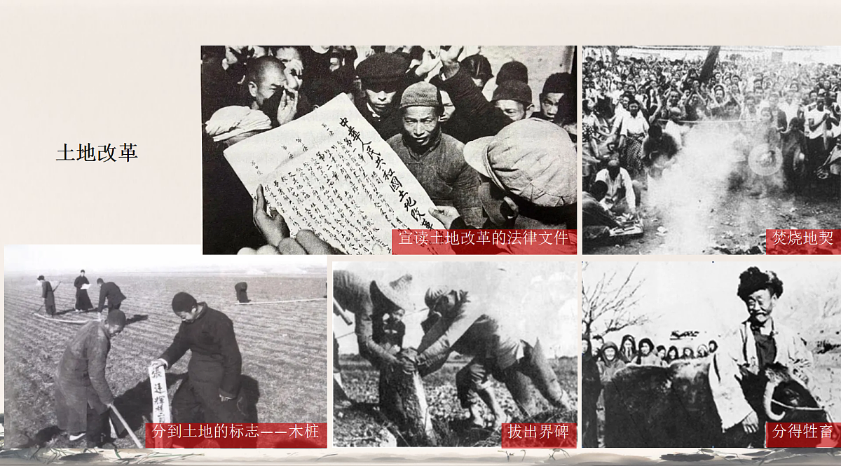18176334第7页