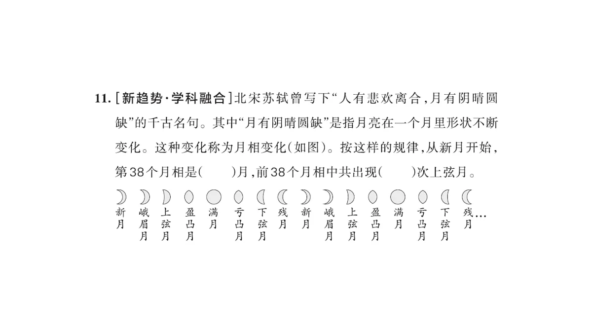18177712第5页