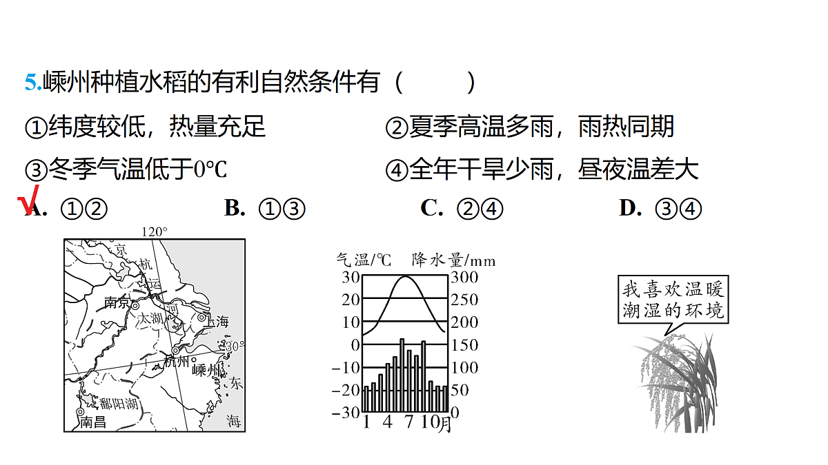 18177792第8页
