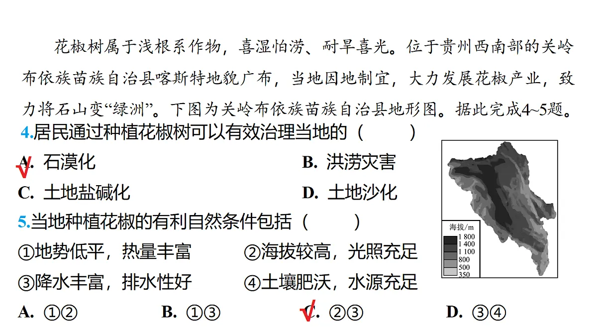 18177798第5页