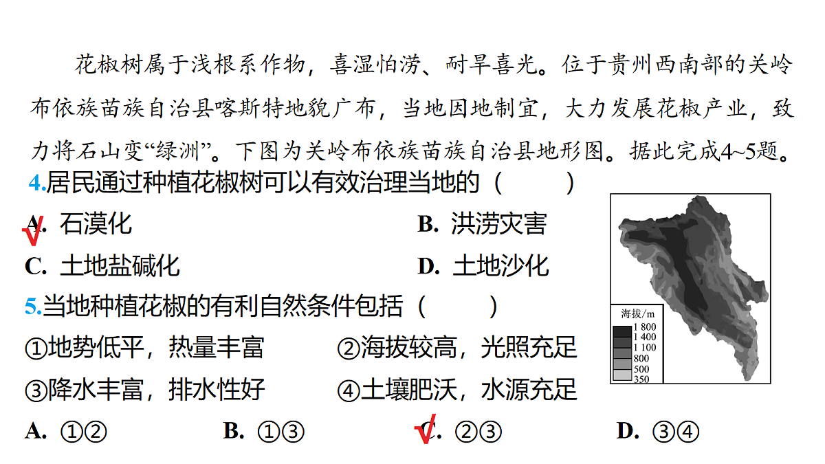 18177798第5页