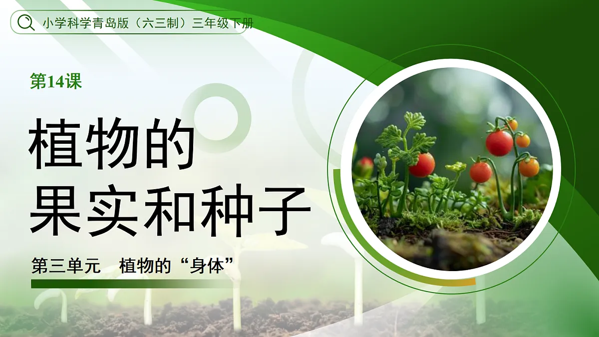 18177980第1页