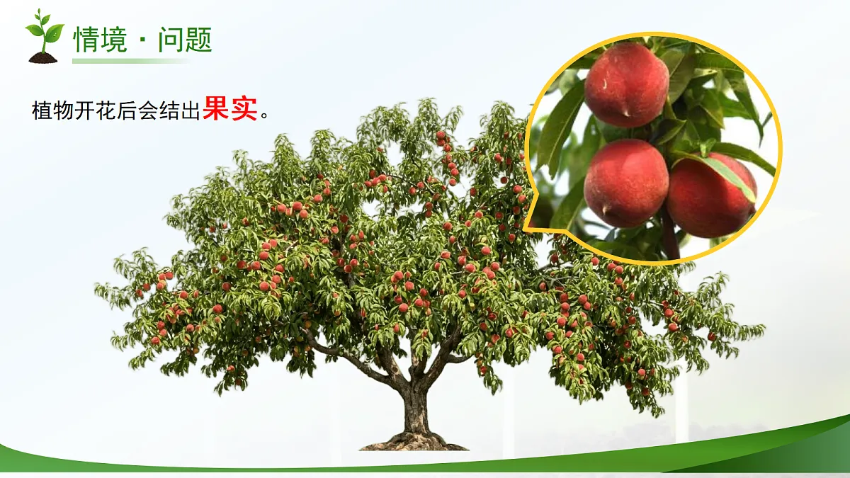 18177980第3页