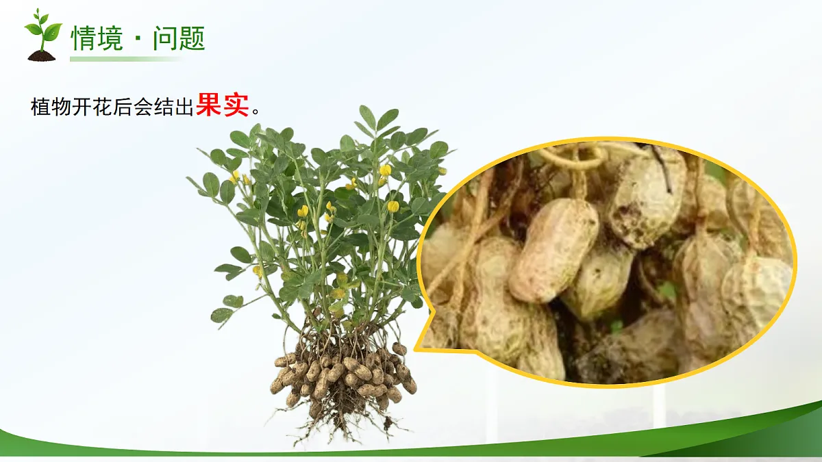 18177980第5页