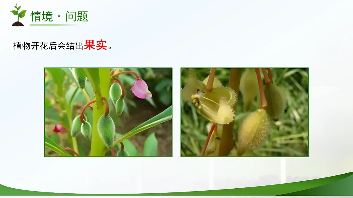 18177980第6页