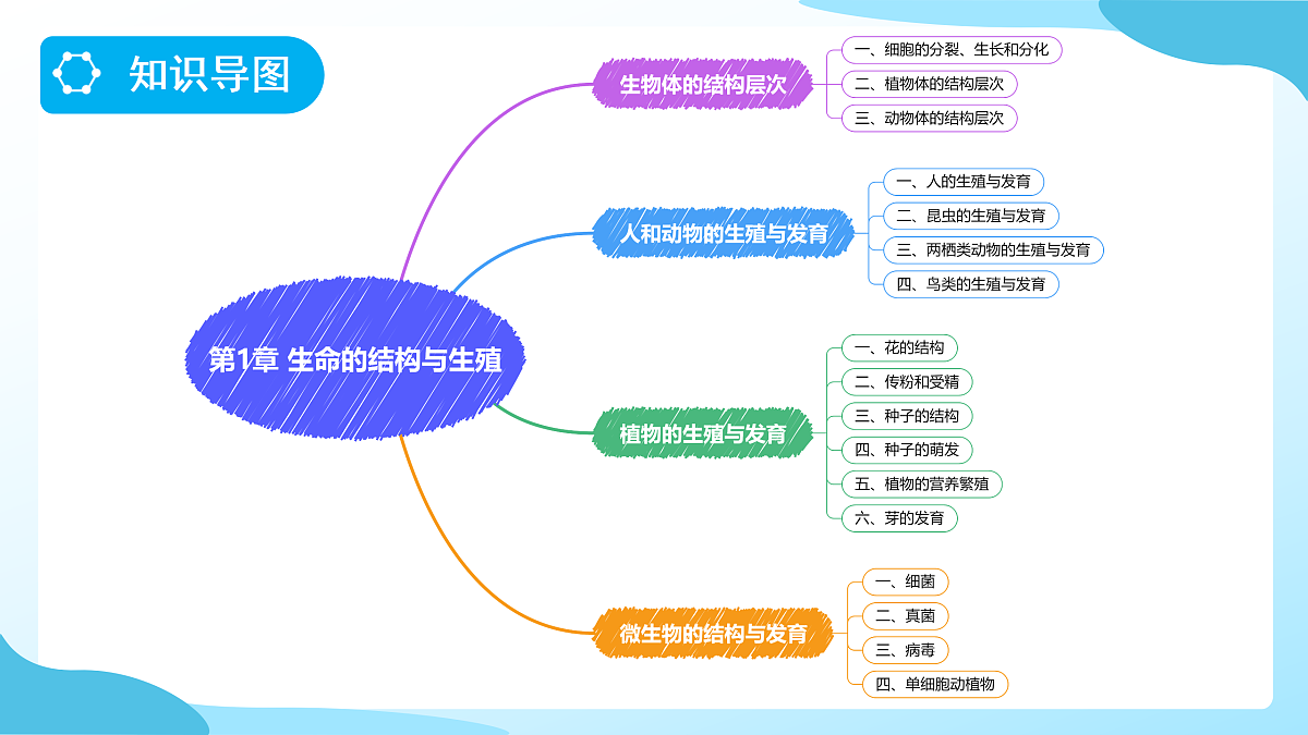 18177995第3页