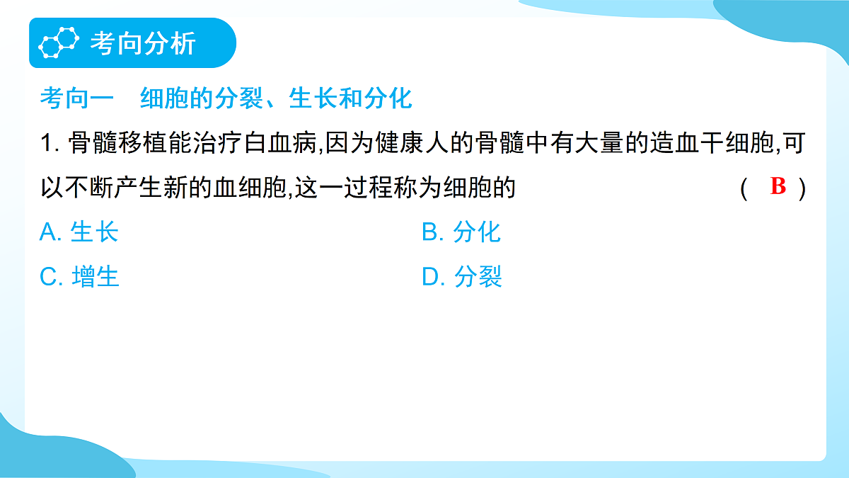 18177995第4页