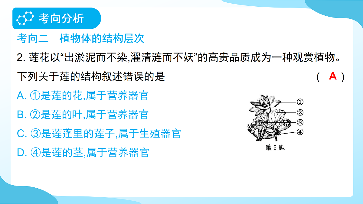 18177995第5页