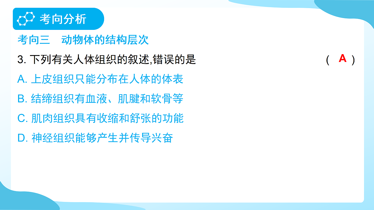 18177995第6页