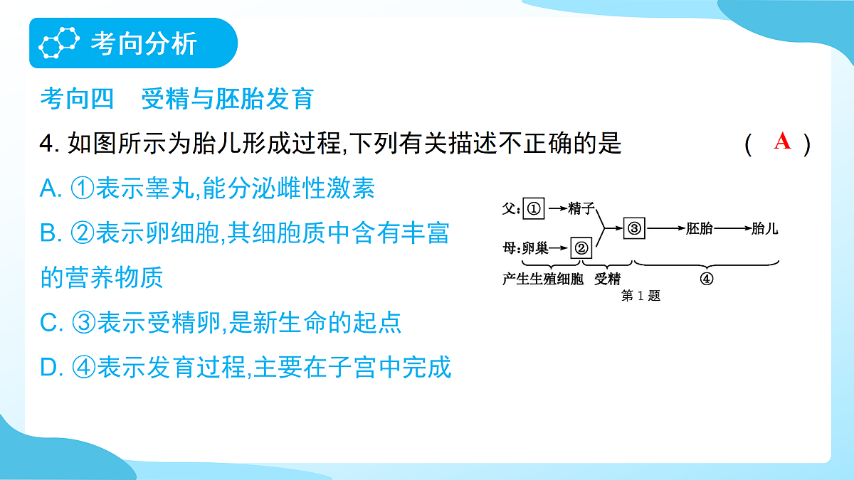 18177995第7页