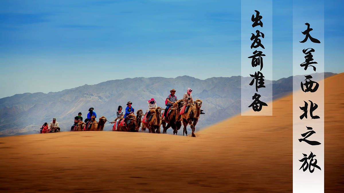 18178850第3页