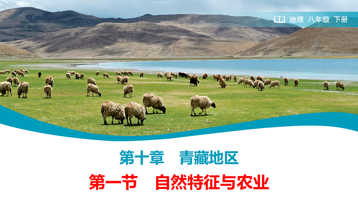 18178856第1页