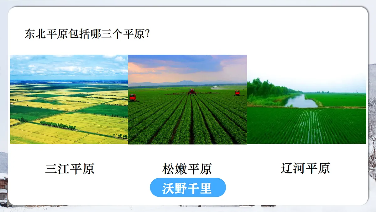18178876第8页