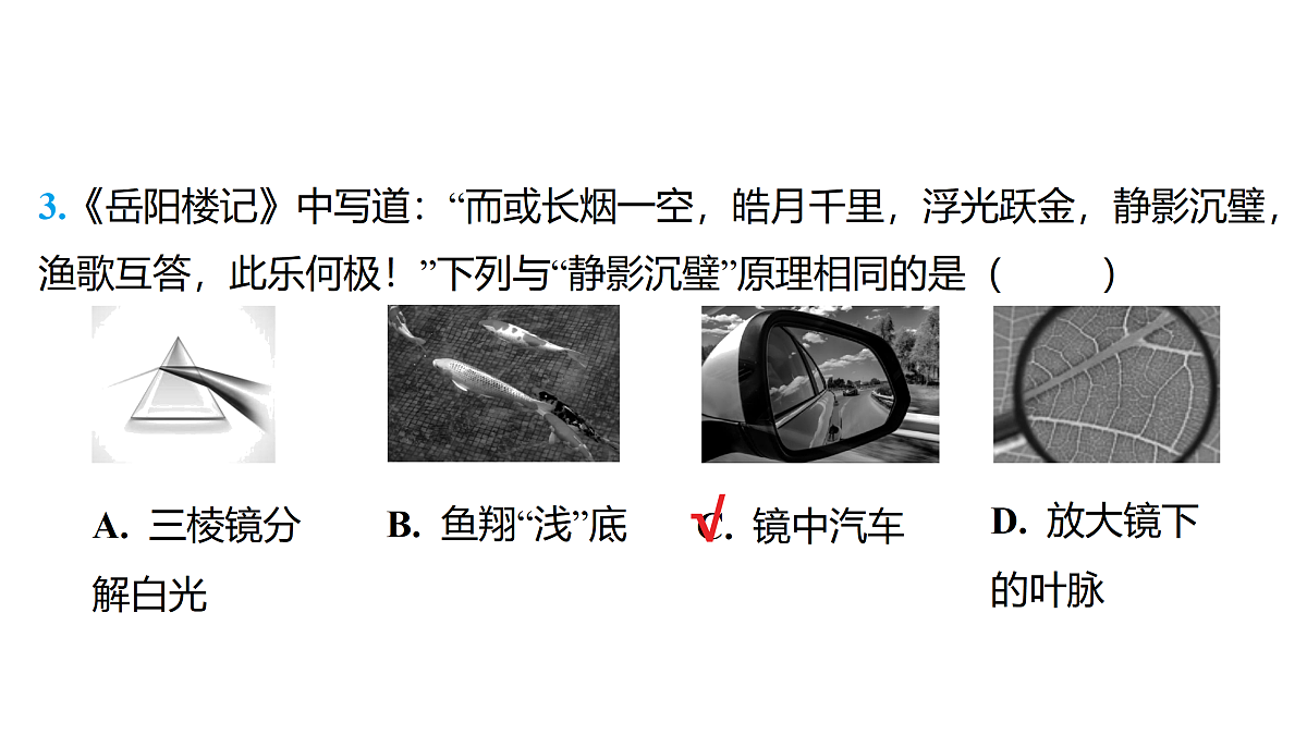 18179545第4页