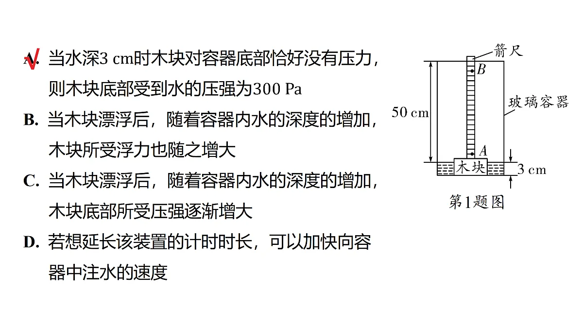 18179548第3页