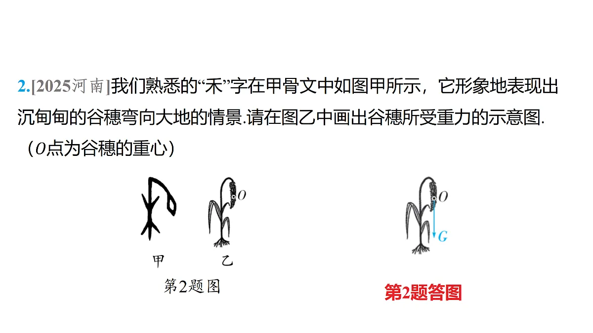 18179563第7页