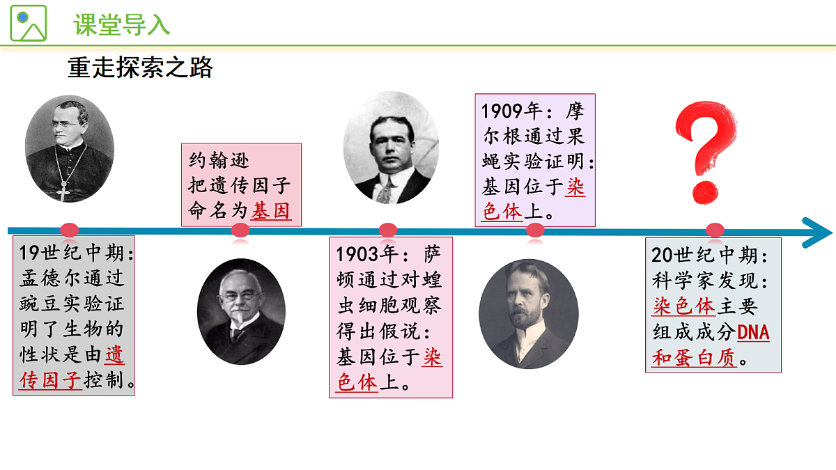 18179604第3页