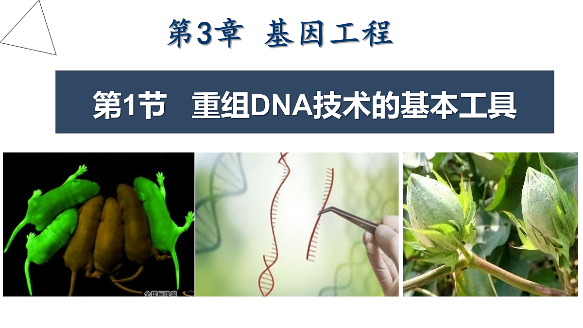 18179624第1页
