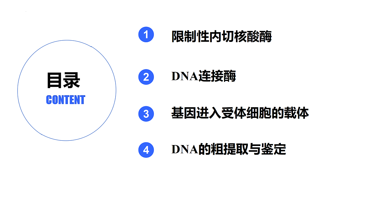 18179624第3页