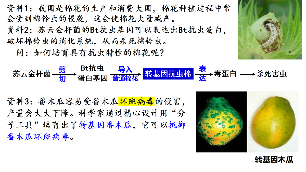 18179624第4页