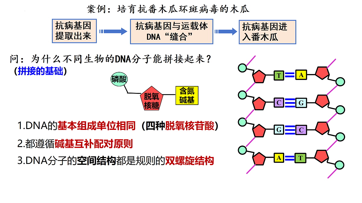 18179624第6页