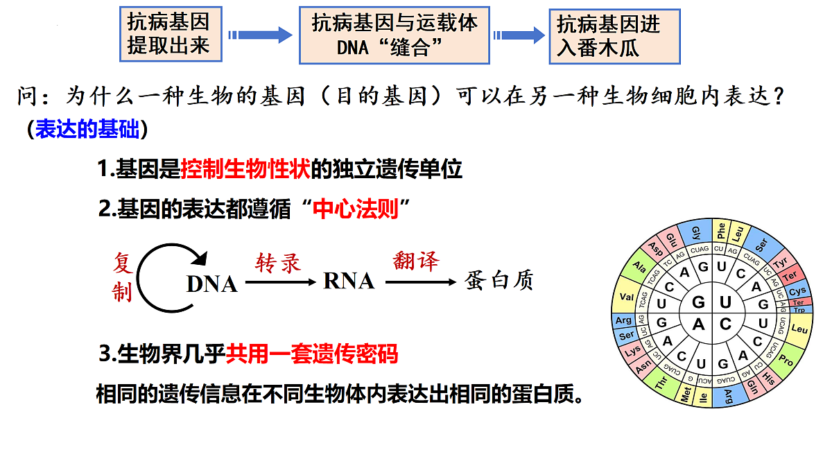 18179624第7页