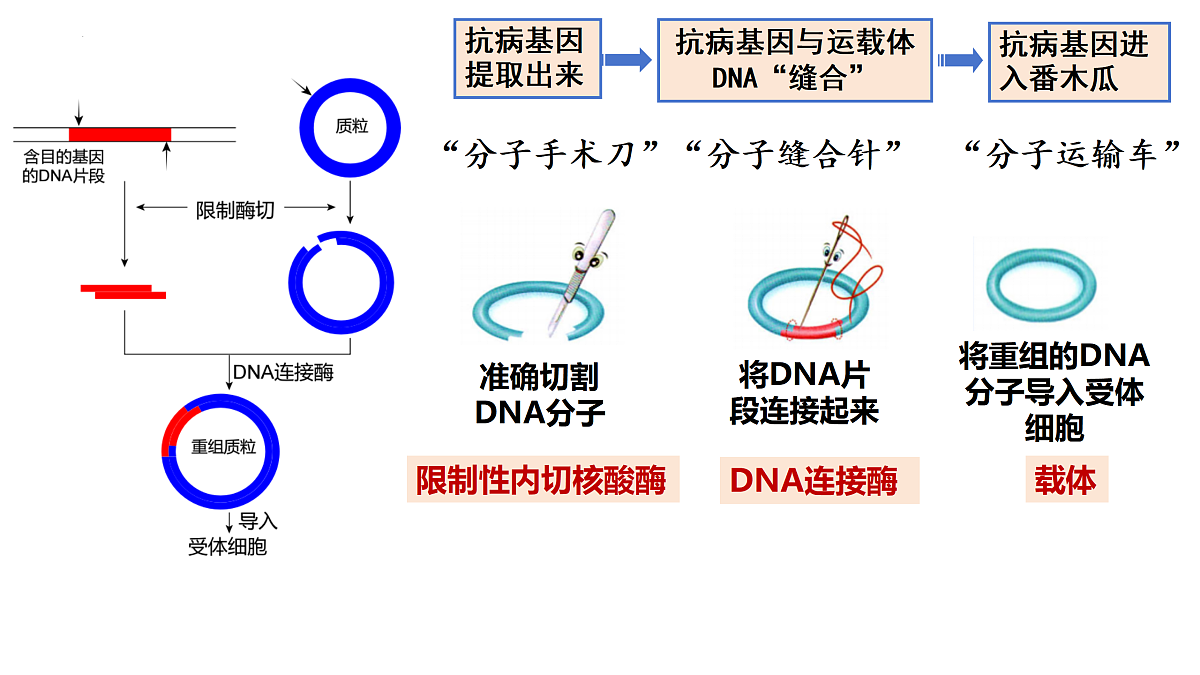 18179624第8页