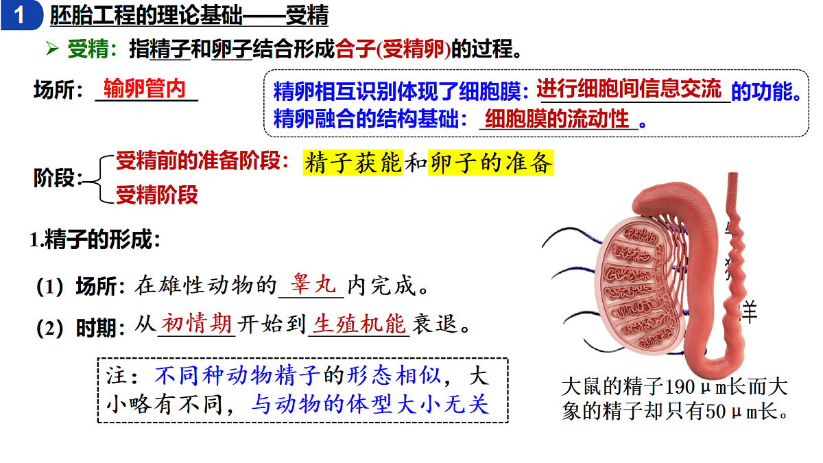 18179764第5页