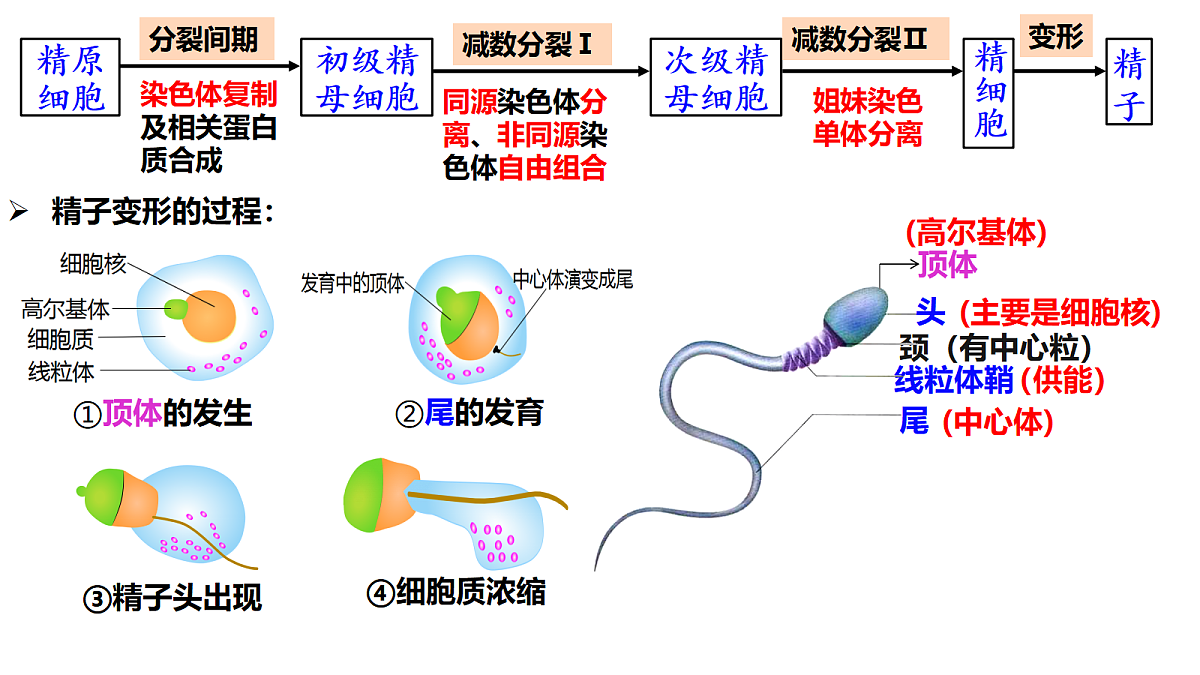 18179764第6页