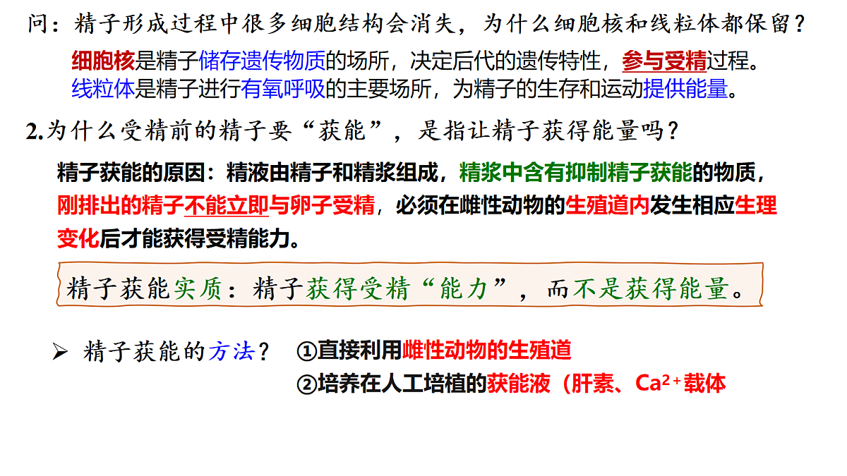18179764第7页