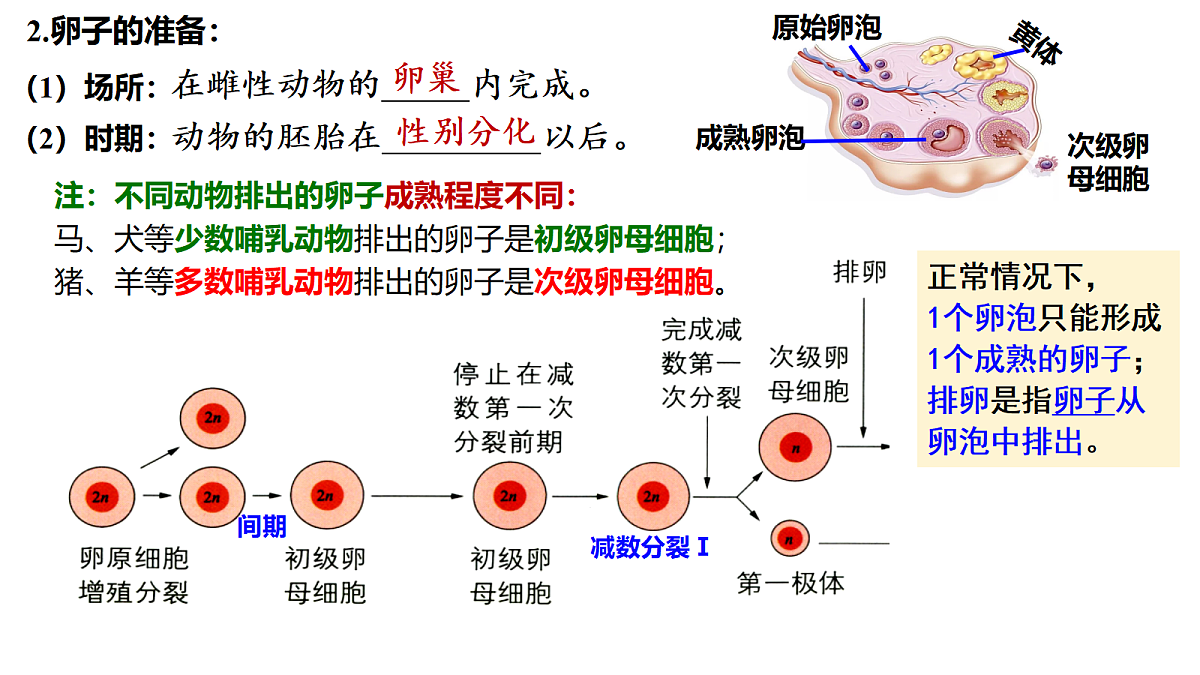 18179764第8页