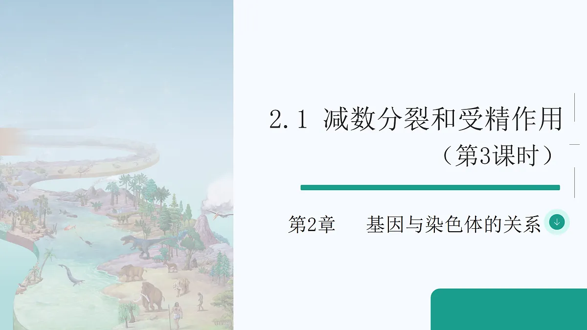 18179765第1页