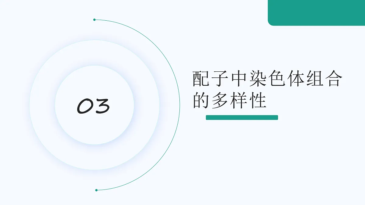 18179765第4页