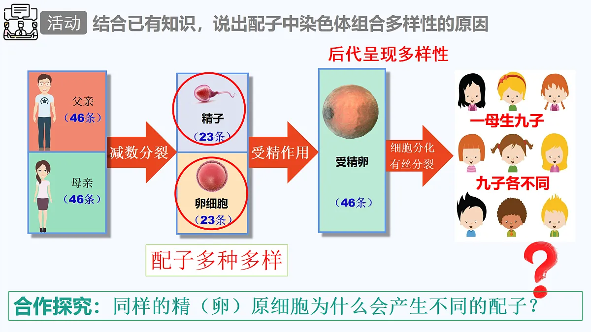 18179765第5页