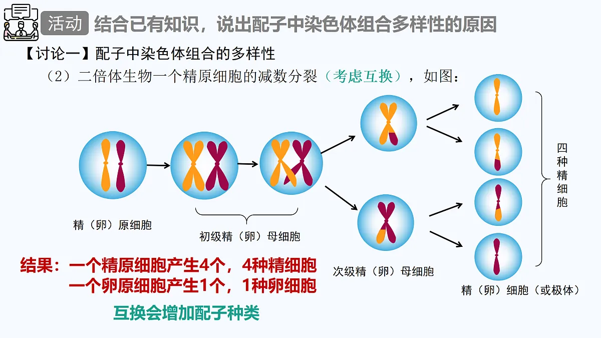 18179765第7页