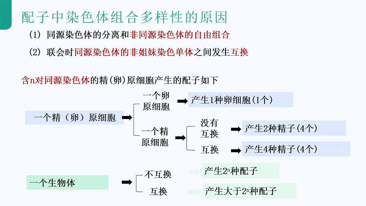 18179765第8页