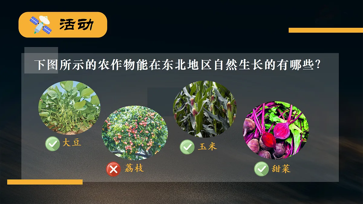 18179941第6页
